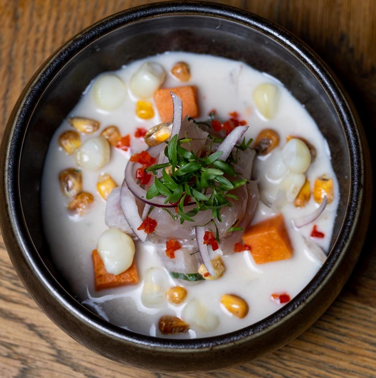 ceviche andia